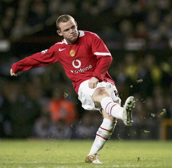 带来全新的 带来全新的