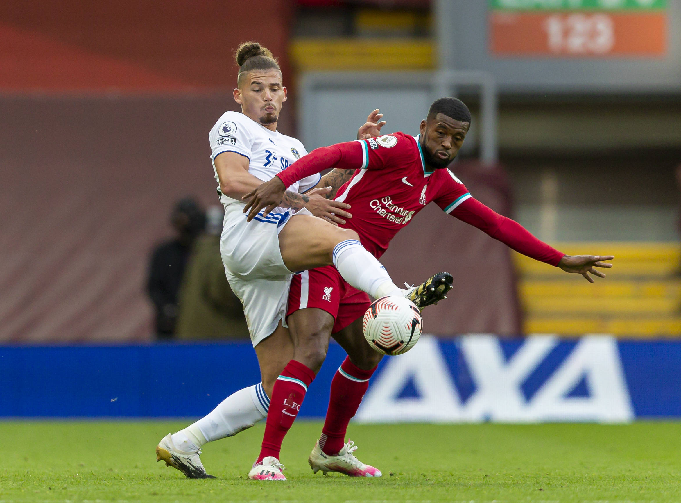 体育培养 体育培养