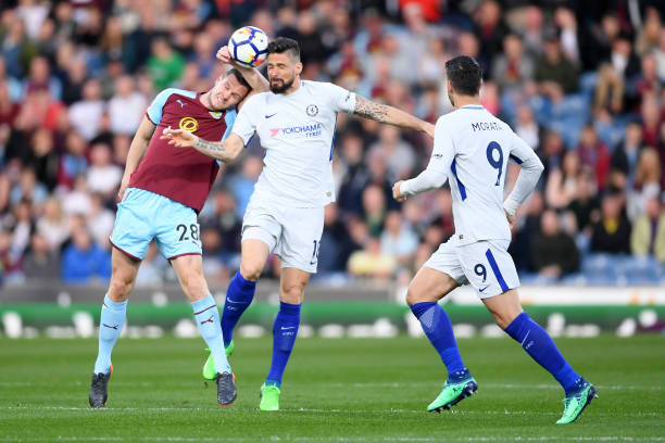 优质的草坪 优质的草坪